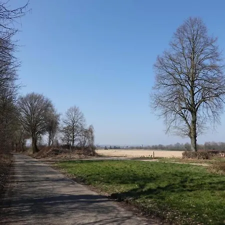 In Near Bemelerberg Reserve Bemelen