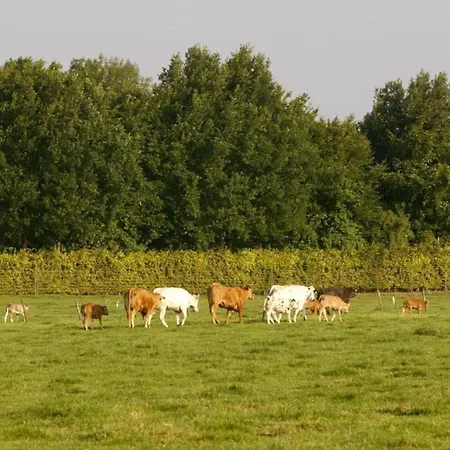Vakantiehuis In Near Bemelerberg Reserve Bemelen