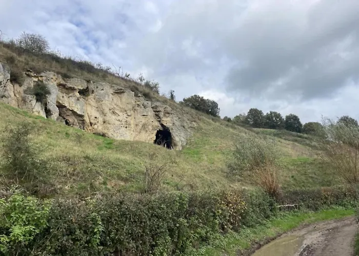 In Near Bemelerberg Reserve *