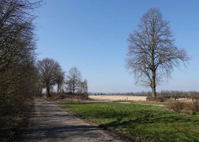 In Near Bemelerberg Reserve Bemelen