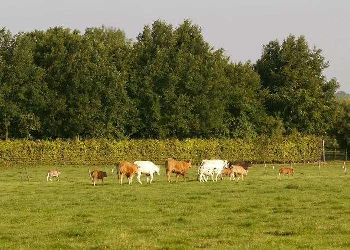 Ferienhaus In Near Bemelerberg Reserve Bemelen