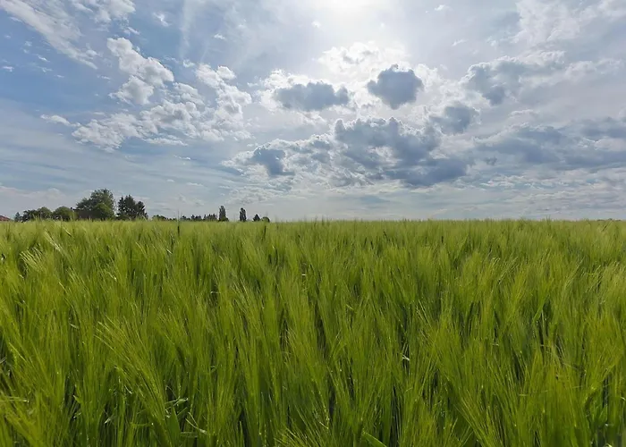In Near Bemelerberg Reserve Bemelen