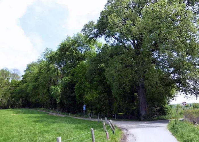 In Near Bemelerberg Reserve