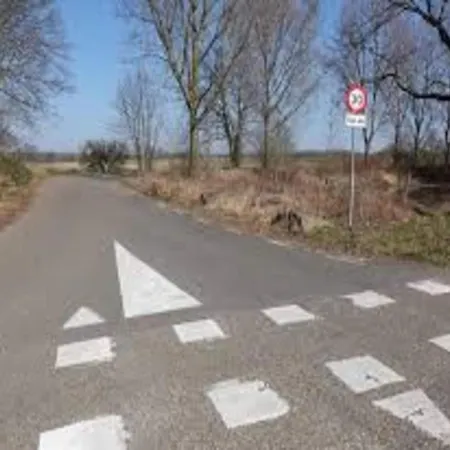 Σπίτι διακοπών In Near Bemelerberg Reserve